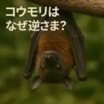 こうもりは何故さかさま？