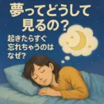 夢ってどうして見るの？