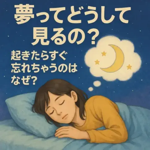 夢ってどうして見るの？