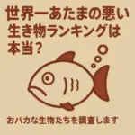 生き物ランキングは本当？