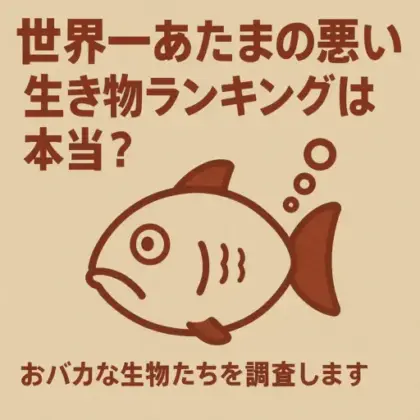 生き物ランキングは本当？