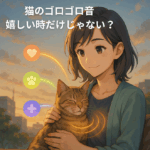 猫のゴロゴロ音