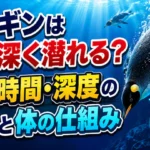 ペンギンはなぜ深く潜れるのか、潜水時間・深度の記録と体の仕組みを解説するアイキャッチ画像