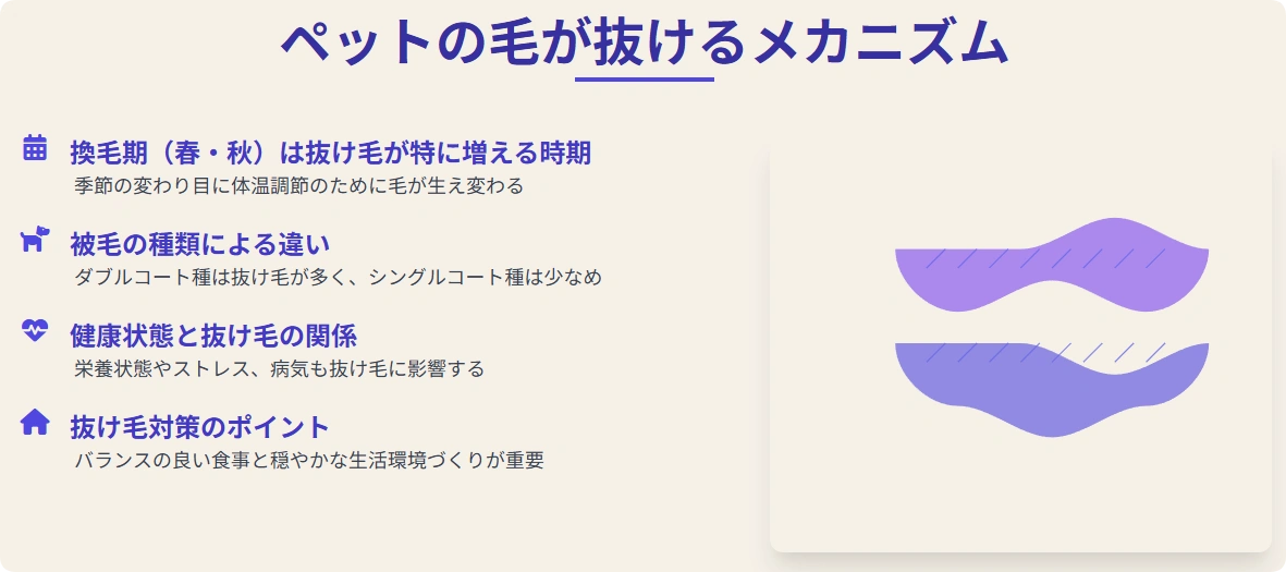 ペットの毛が抜けるメカニズムの図解