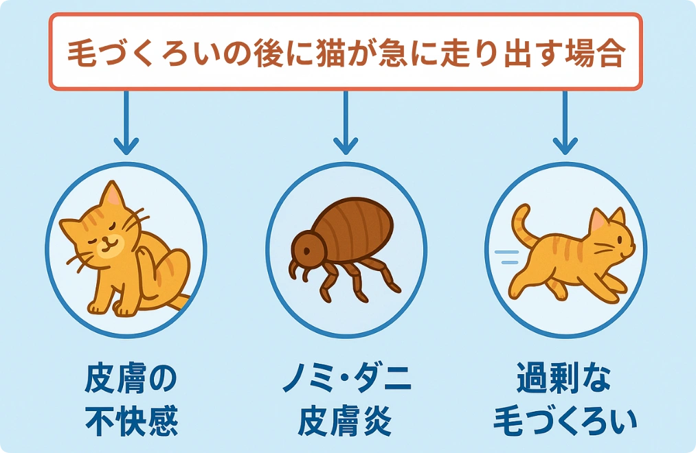 毛づくろいの後に急に走り出す理由の図解