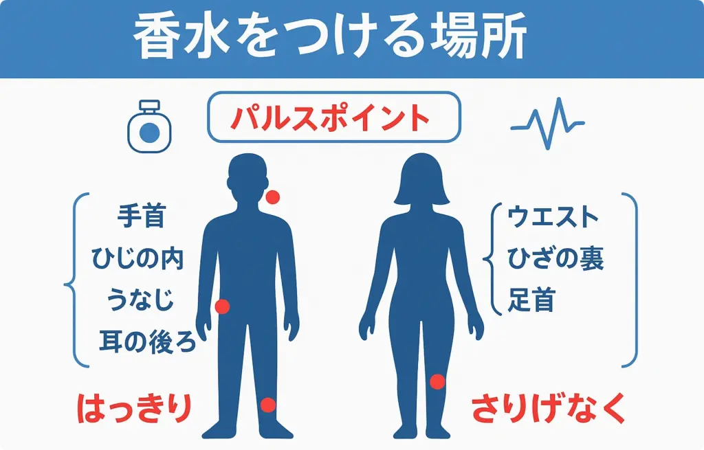 香水を付ける場所の図解