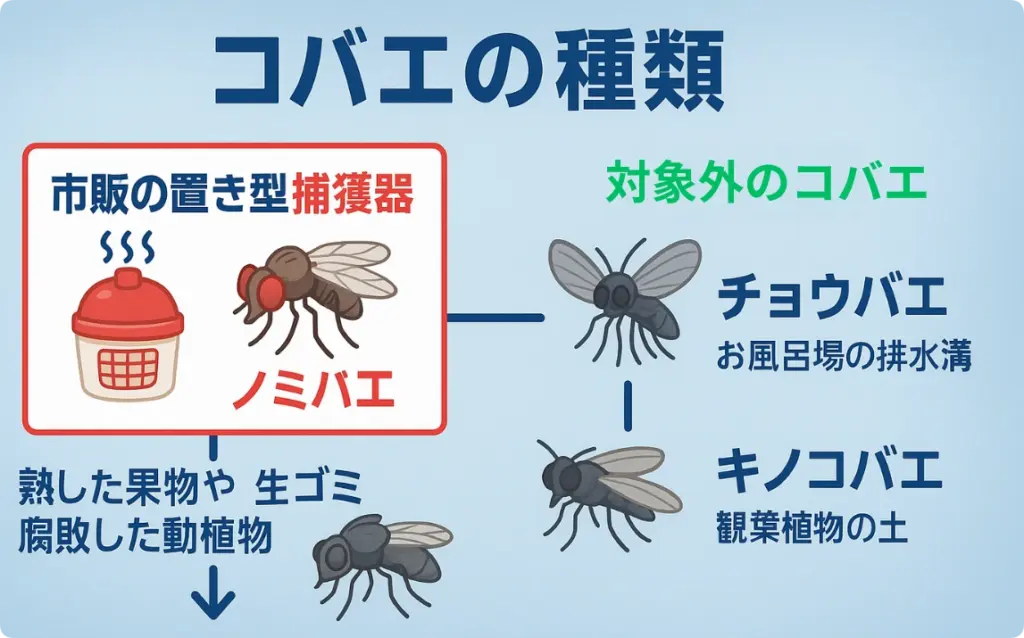 コバエの種類と捕獲器が合っていない原因の説明図解