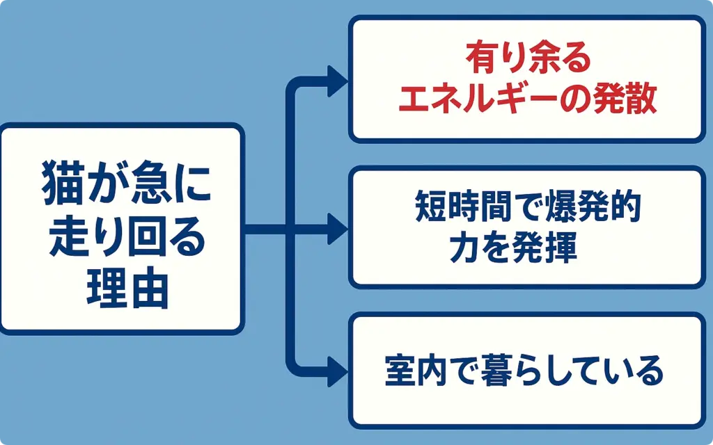 猫が走り回る理由の図解