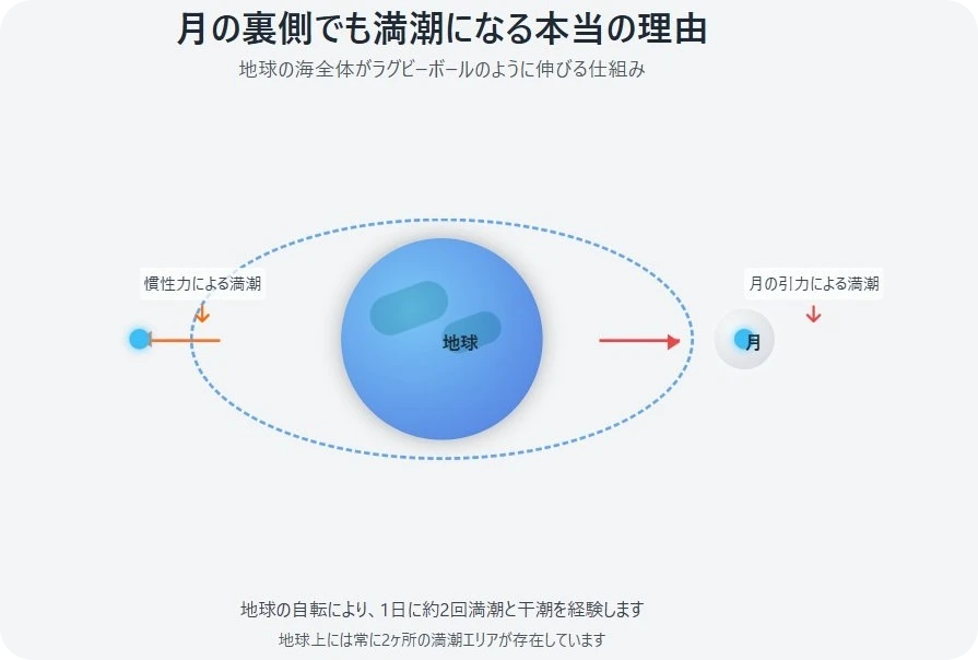潮汐力のメカニズムをシンプルな図解で表現