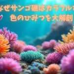 サンゴの色のひみつ