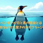 ペンギンが白と黒の理由とは？