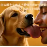 犬はなぜ飼い主の顔をなめる？イメージ