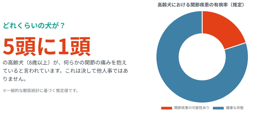 関節疾患についての図解