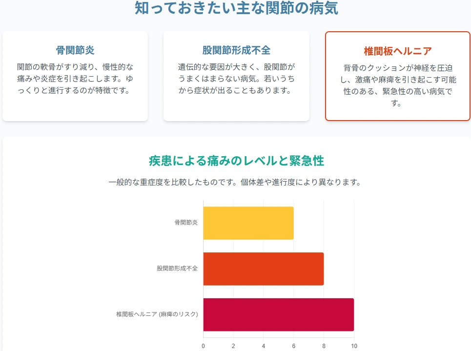 関節の病気についての図解