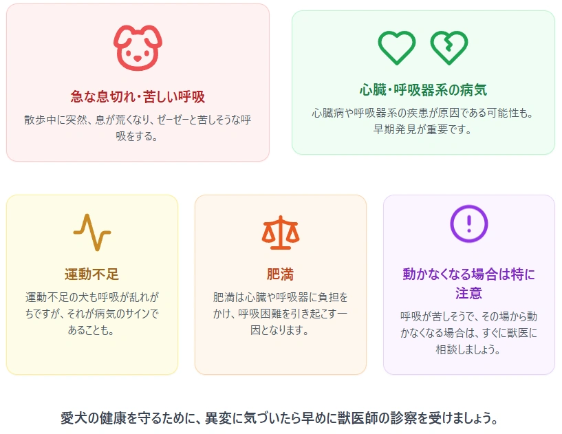 散歩中の犬の呼吸困難や隠れたサインについての図解