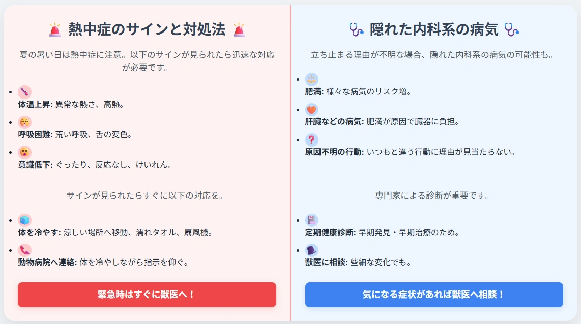 ペットの健康に関する図解