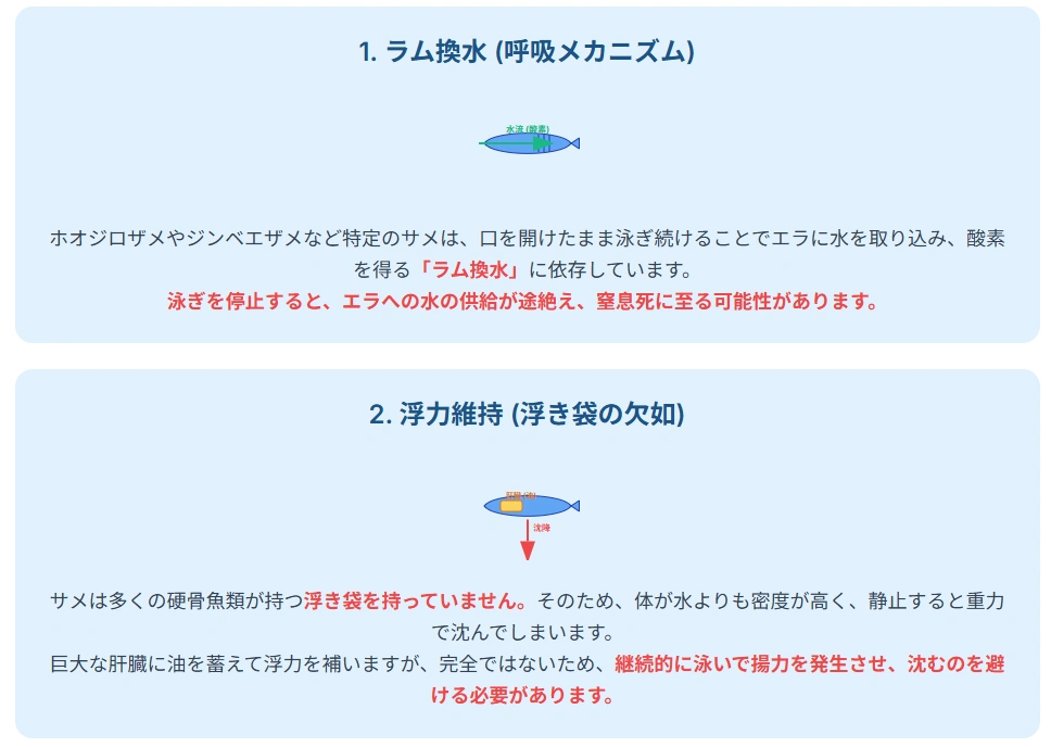 サメの生存メカニズム図解