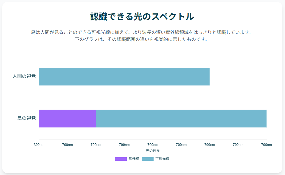 認識できる光のスペクトル