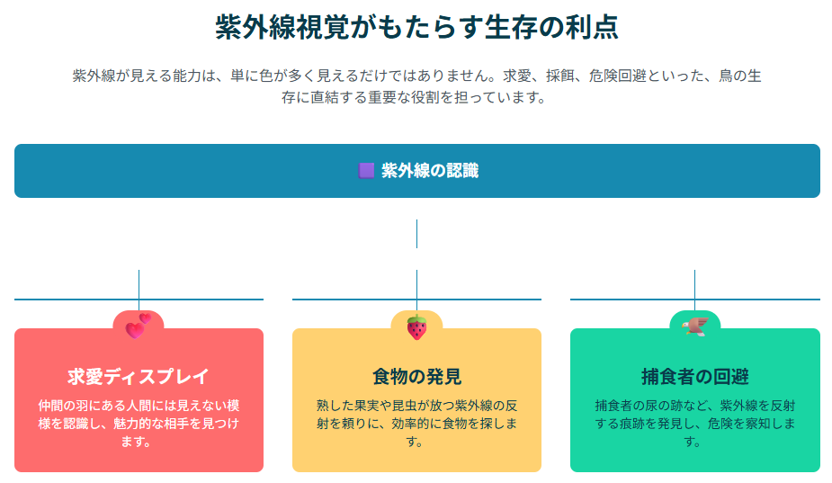 紫外線視覚がもたらす生存の利点