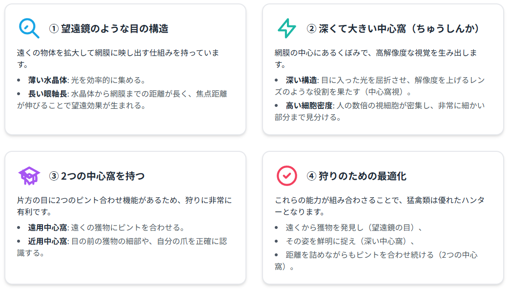 鷹の目について