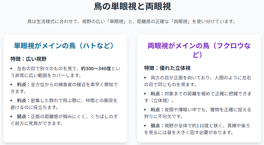 鳥の単眼視と両眼視