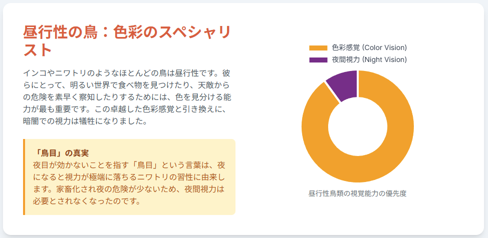 昼行性の鳥
