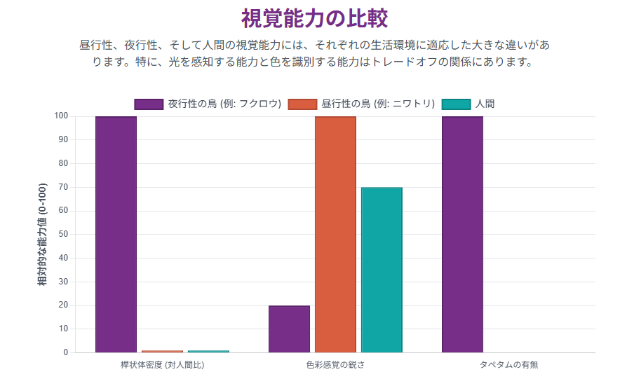視覚能力の比較
