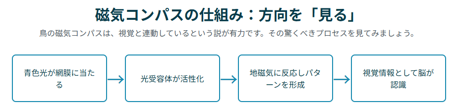 磁気コンパスの仕組み