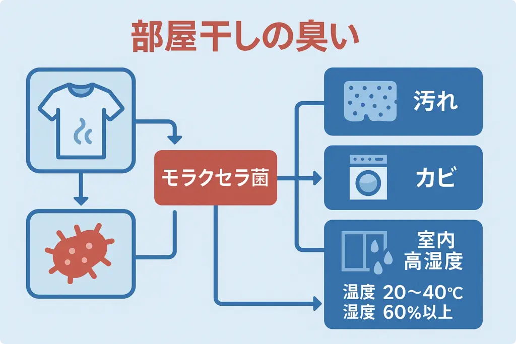 部屋干しの臭いメカニズム図解