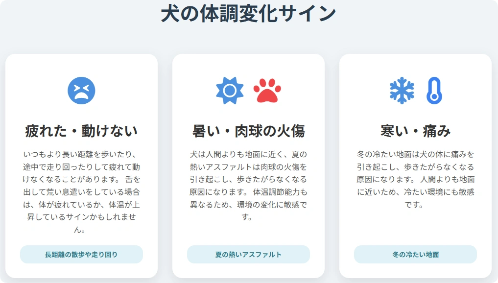 犬の体調変化サインの図解