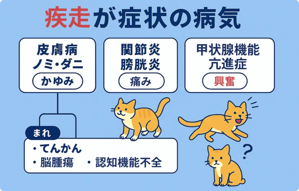 疾走の症状としての図解