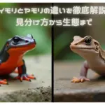 イモリとヤモリのビジュアル差の比較