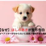 【なぜ】ほしのあきが整形告白！整形ビフォーアフターが分からないと話題！施術内容と理由をまとめ