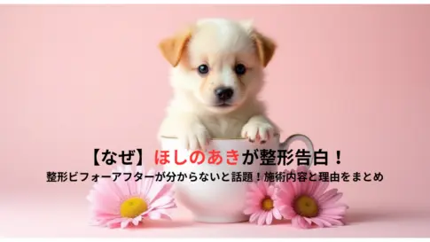 【なぜ】ほしのあきが整形告白！整形ビフォーアフターが分からないと話題！施術内容と理由をまとめ