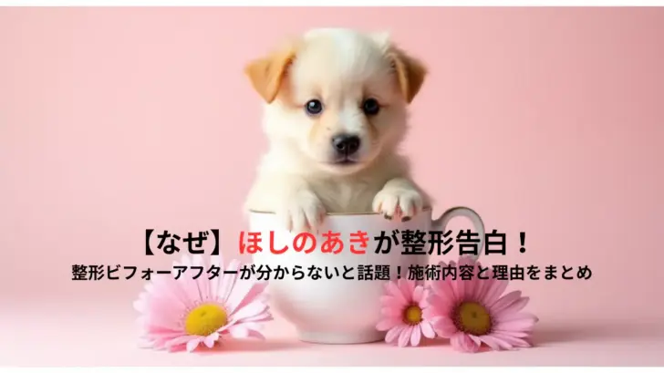 【なぜ】ほしのあきが整形告白！整形ビフォーアフターが分からないと話題！施術内容と理由をまとめ