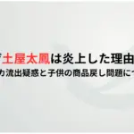 なぜ土屋太鳳は炎上した理由は？-SNS裏アカ流出疑惑と子供の商品戻し問題について調査