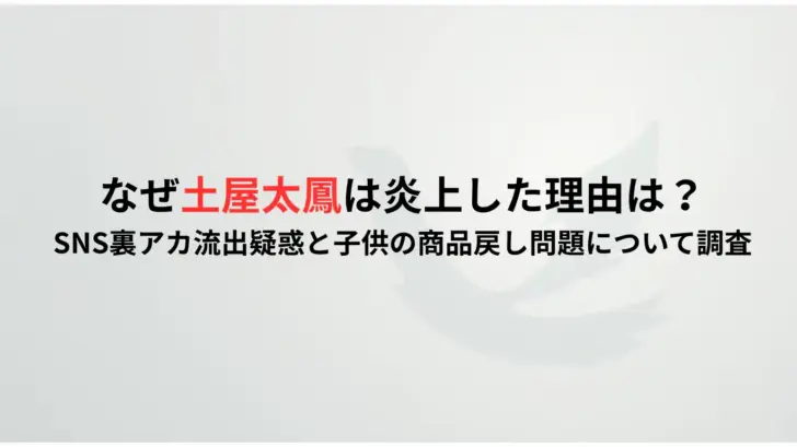 なぜ土屋太鳳は炎上した理由は？-SNS裏アカ流出疑惑と子供の商品戻し問題について調査