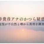 藤井貴彦アナのかつら疑惑？-髪型が不自然と噂から真相を調査