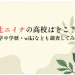 辻ニイナの高校はどこ？大学や学歴・wikiなども調査してみた
