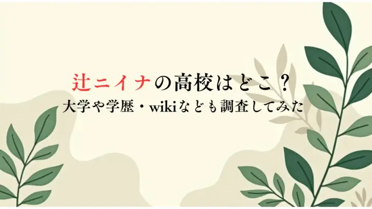辻ニイナの高校はどこ？大学や学歴・wikiなども調査してみた