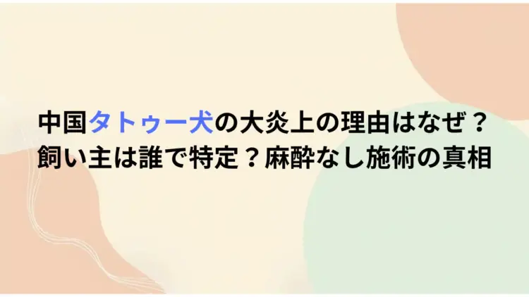 中国タトゥー犬の大炎上の理由はなぜ？飼い主は誰で特定？麻酔なし施術の真相