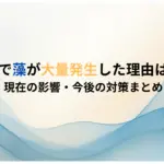 諏訪湖で藻が大量発生した理由はなぜ？-現在の影響・今後の対策まとめ