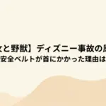 【TDL美女と野獣】ディズニー事故の原因は何？安全ベルトが首にかかった理由は