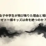 歌舞伎町で女子中学生が飛び降りた理由と場所はどこ？なぜトー横キッズは命を絶つのか？