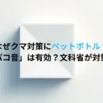 なぜクマ対策にペットボトル?「パコパコ音」は有効?文科省が対策通知!