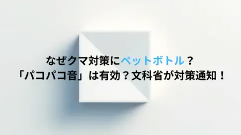 なぜクマ対策にペットボトル？「パコパコ音」は有効？文科省が対策通知！
