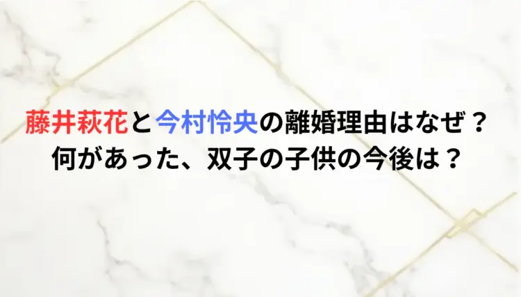 藤井萩花と今村怜央の離婚理由はなぜ？何があった、双子の子供の今後は？