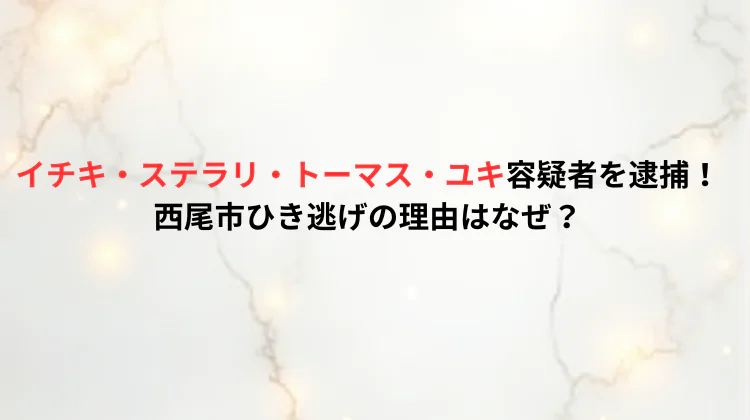 イチキ・ステラリ・トーマス・ユキ容疑者を逮捕！西尾市ひき逃げの理由はなぜ？