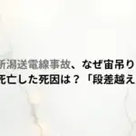 新潟送電線事故、なぜ宙吊り？作業員死亡した死因は？「段差越え」の詳細
