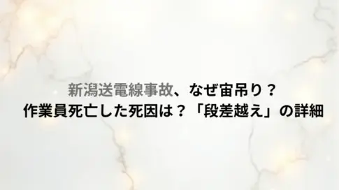 新潟送電線事故、なぜ宙吊り？作業員死亡した死因は？「段差越え」の詳細